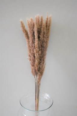 PAMPAS FLUFFY NATURAL
