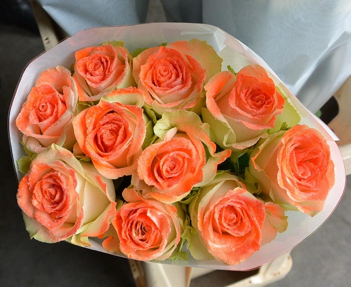 WAX ROSE