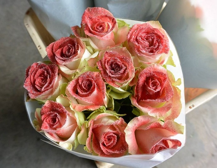 WAX ROSE