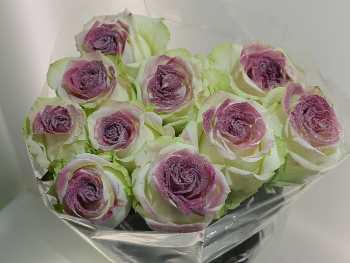 WAX ROSE