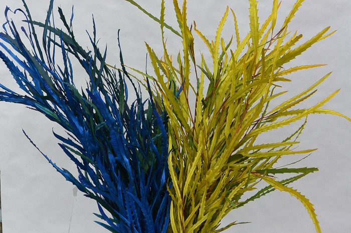 GREVILLEA