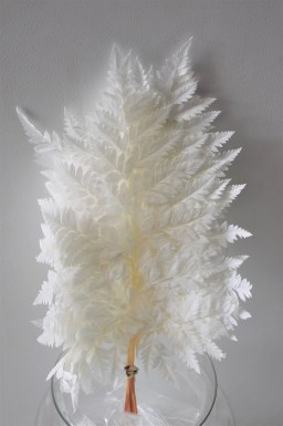 LEATHERLEAF BLEACHED SMALL