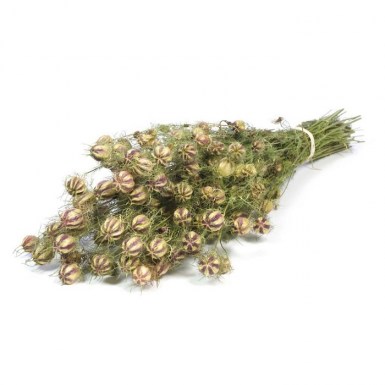 NIGELLA