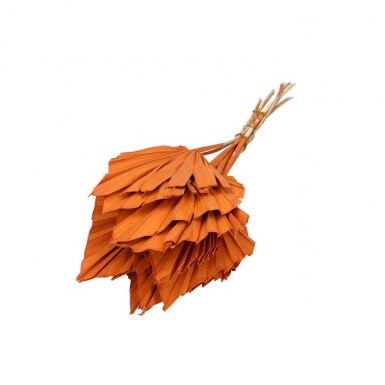 PALM ORANGE SMALL