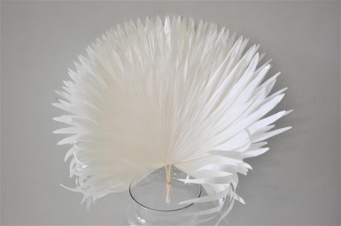 PALM BLEACHED M