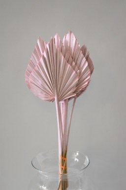 PALM BABY PINK SMALL