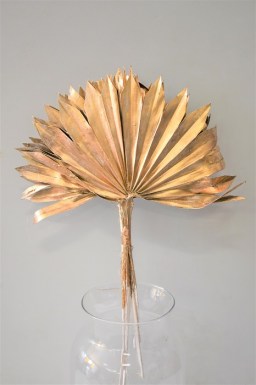 PALM GOLD MEDIUM