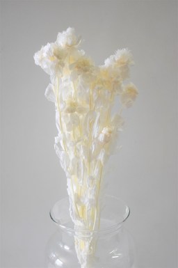 SAFFLOWER BLEACHED