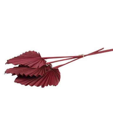 PALM BURGUNDY SMALL