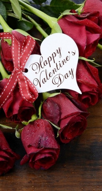 Happy Valentine&#039;s Day