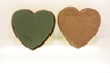 BIOLIT HEART