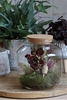 TERRARIUM