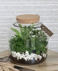 TERRARIUM