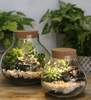 TERRARIUM LED
