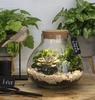 TERRARIUM LED